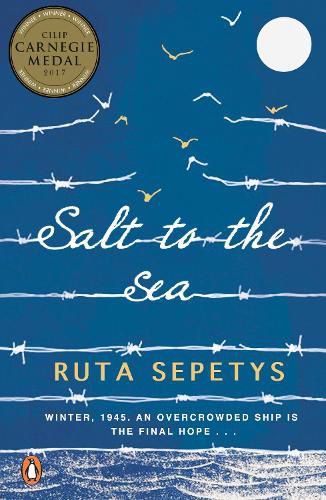 Cover image for Salt to the Sea