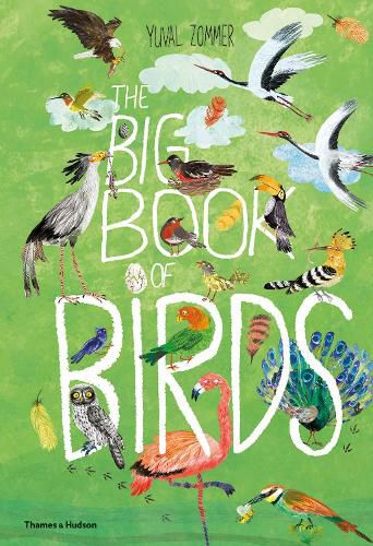 Cover image for The Big Book of Birds