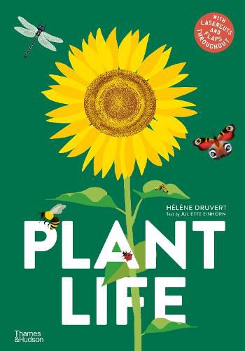 Cover image for Plant Life