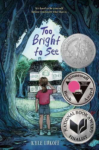 Cover image for Too Bright to See