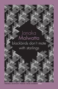 Cover image for blackbirds don't mate with starlings