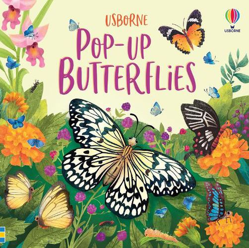 Cover image for Pop-Up Butterflies