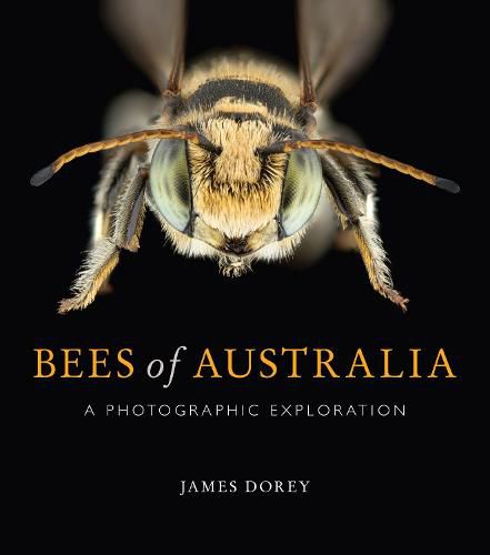 Cover image for Bees of Australia: A Photographic Guide