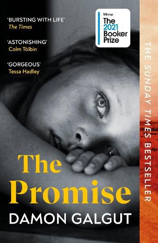 Cover image for The Promise