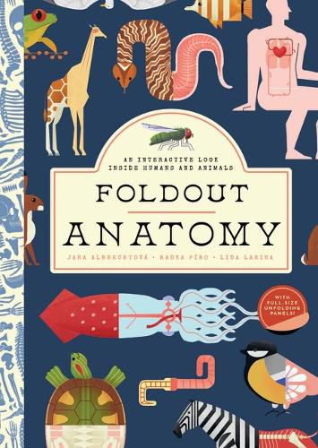 Cover image for Foldout Anatomy