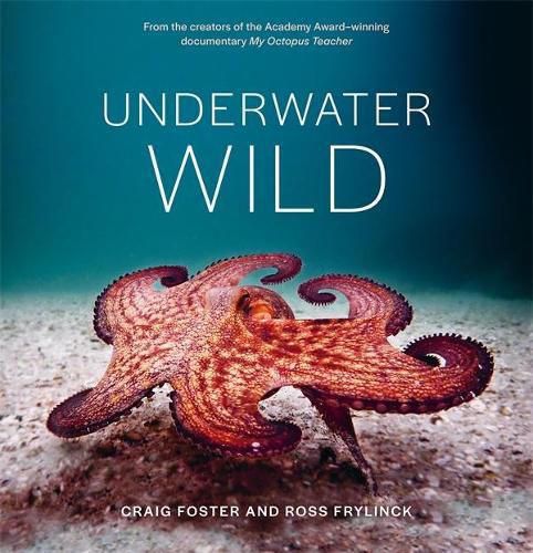 Cover image for Underwater Wild: My Octopus Teacher's Extraordinary World