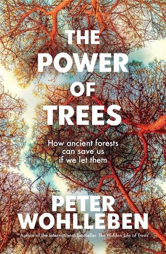 Cover image for The Power of Trees