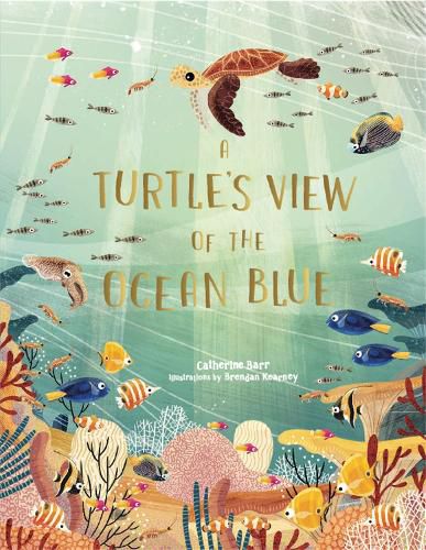 Cover image for A Turtle's View of the Ocean Blue