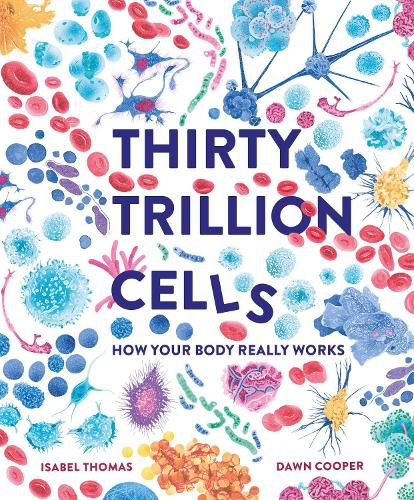 Cover image for Thirty Trillion Cells: How Your Body Really Works