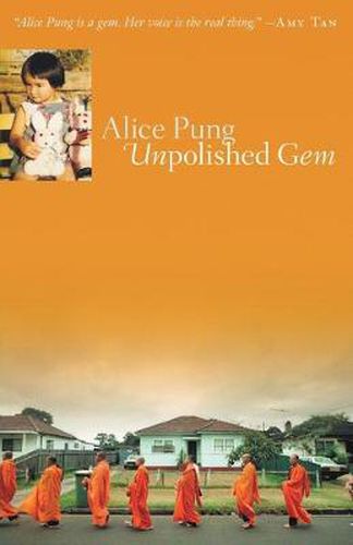 Cover image for Unpolished Gem