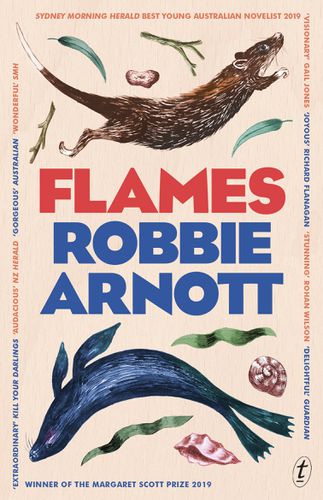 Cover image for Flames