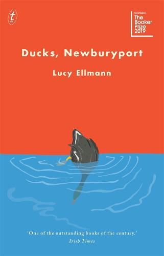 Cover image for Ducks, Newburyport