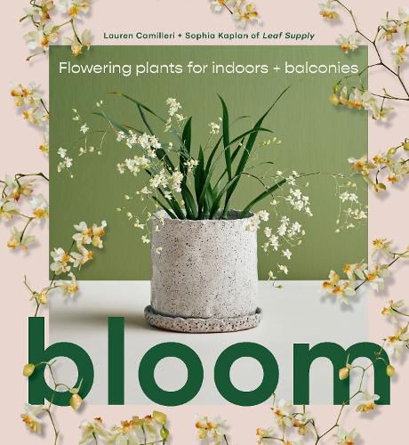 Cover image for Bloom