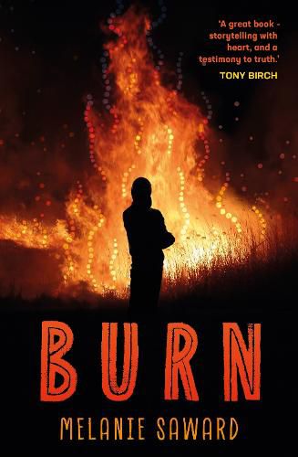 Cover image for Burn